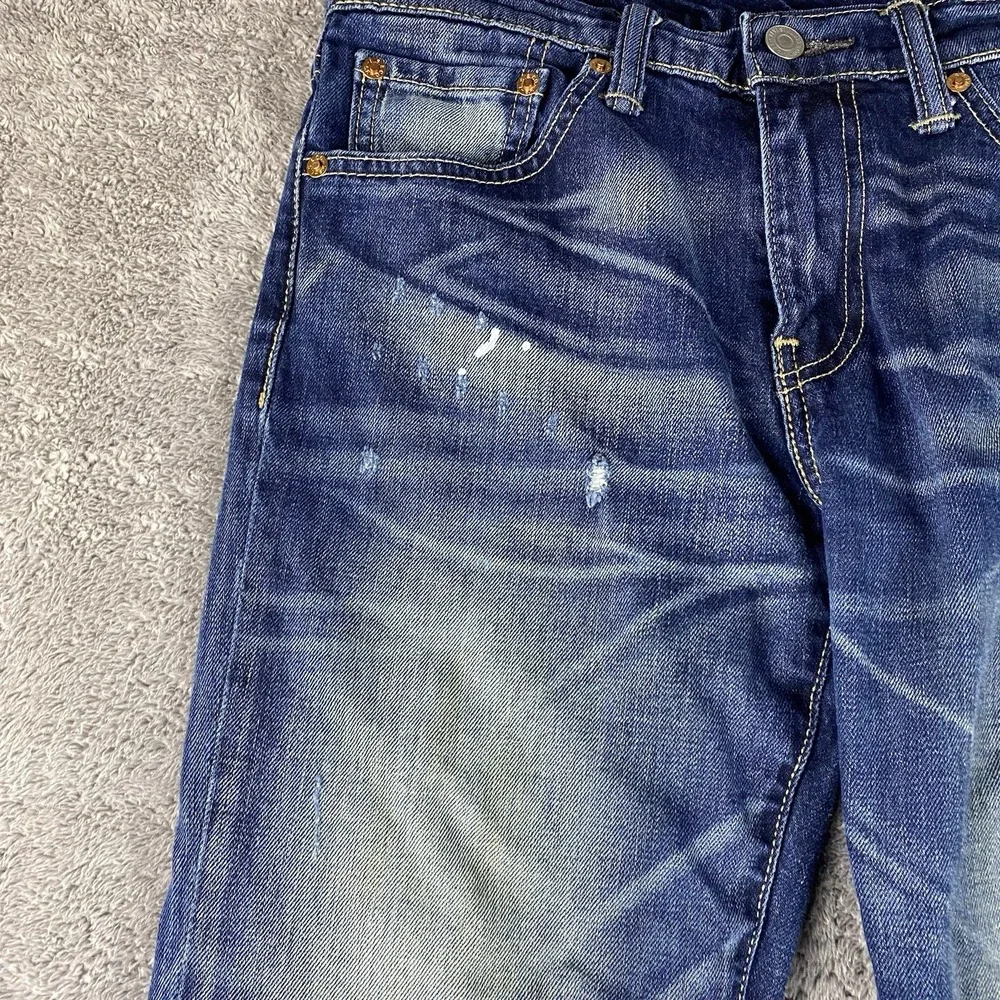 Levis some paint